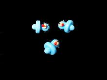 16 GRAM DOG CARB CAP