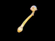 9.5"/160 Gr. PREMIUM GOLDEN SHERLOCK